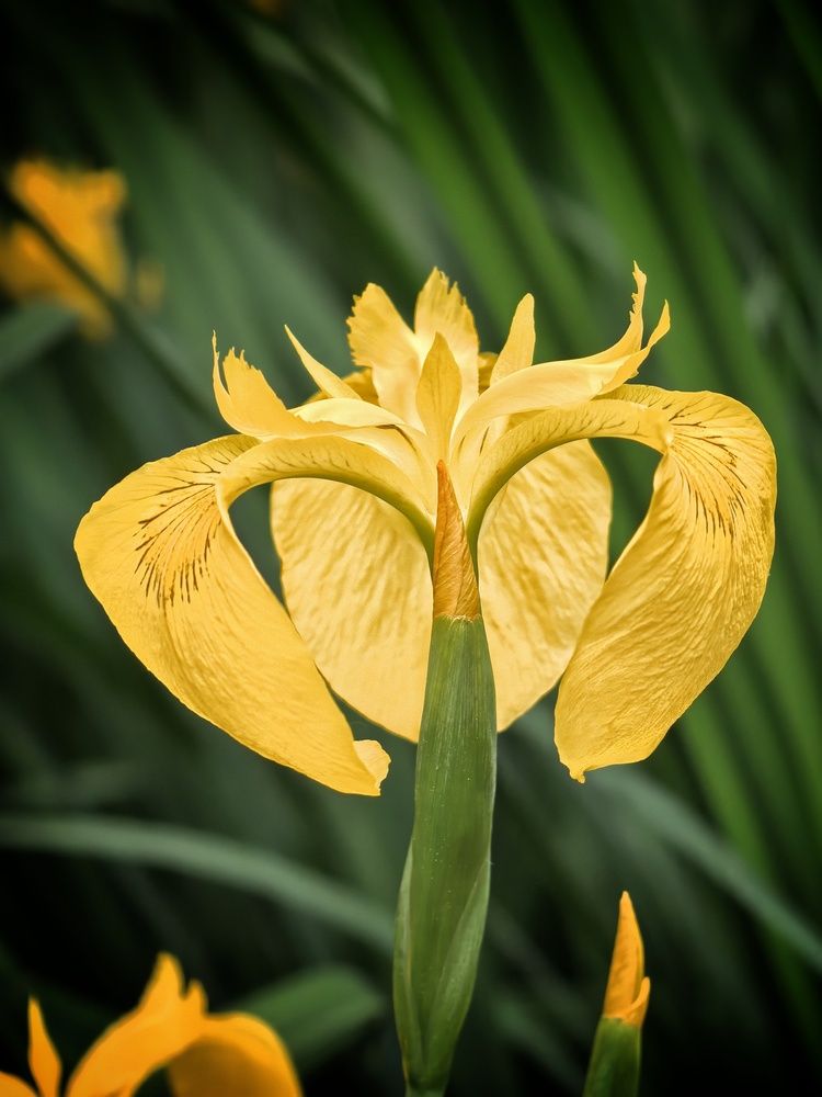 Photograph by Кривенко Владимир