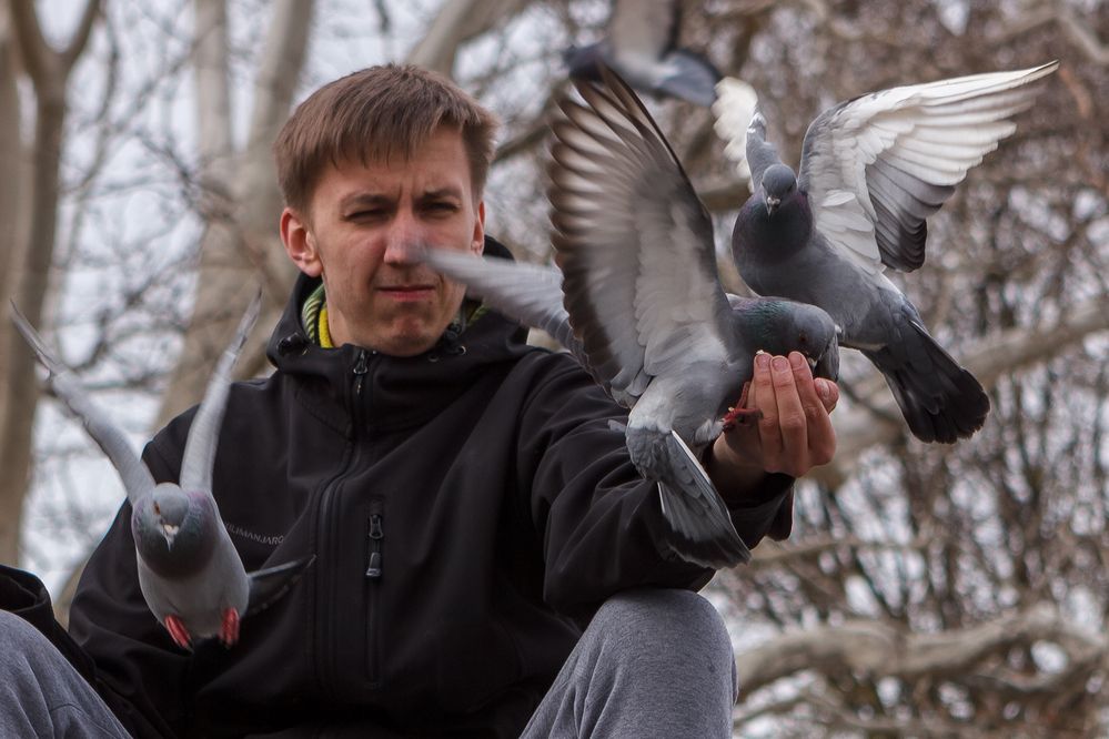 Фотография автора Вострецов Иван