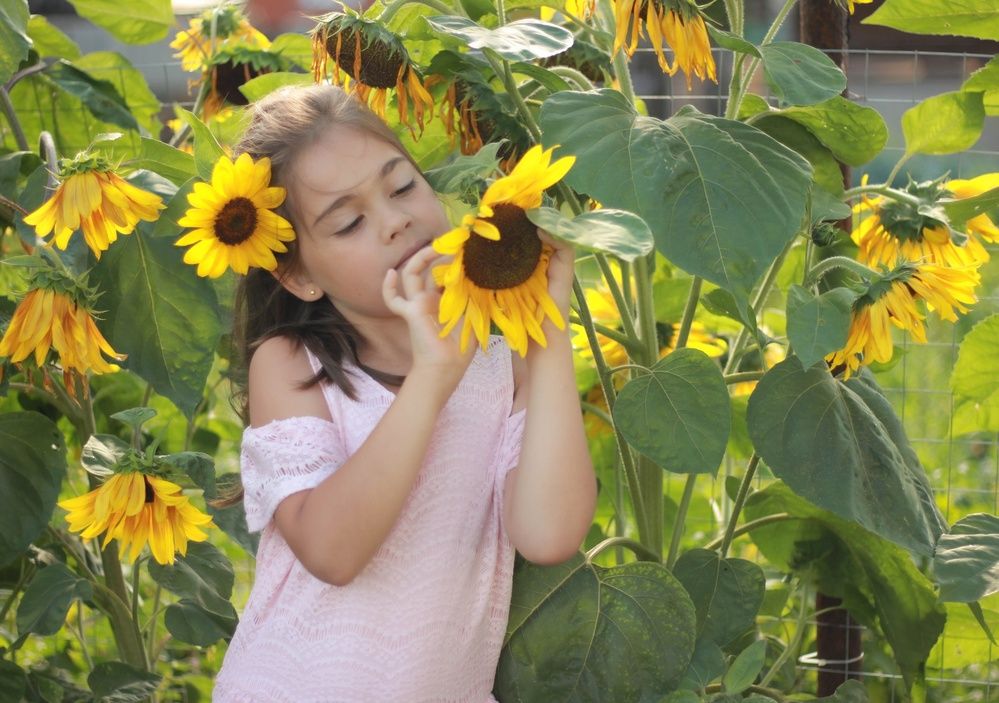 Фотография автора Ираида Гайфуллина