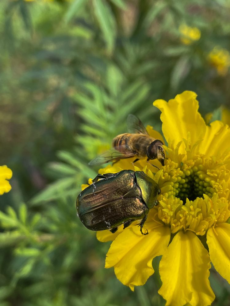 Photograph by Светлана Савина