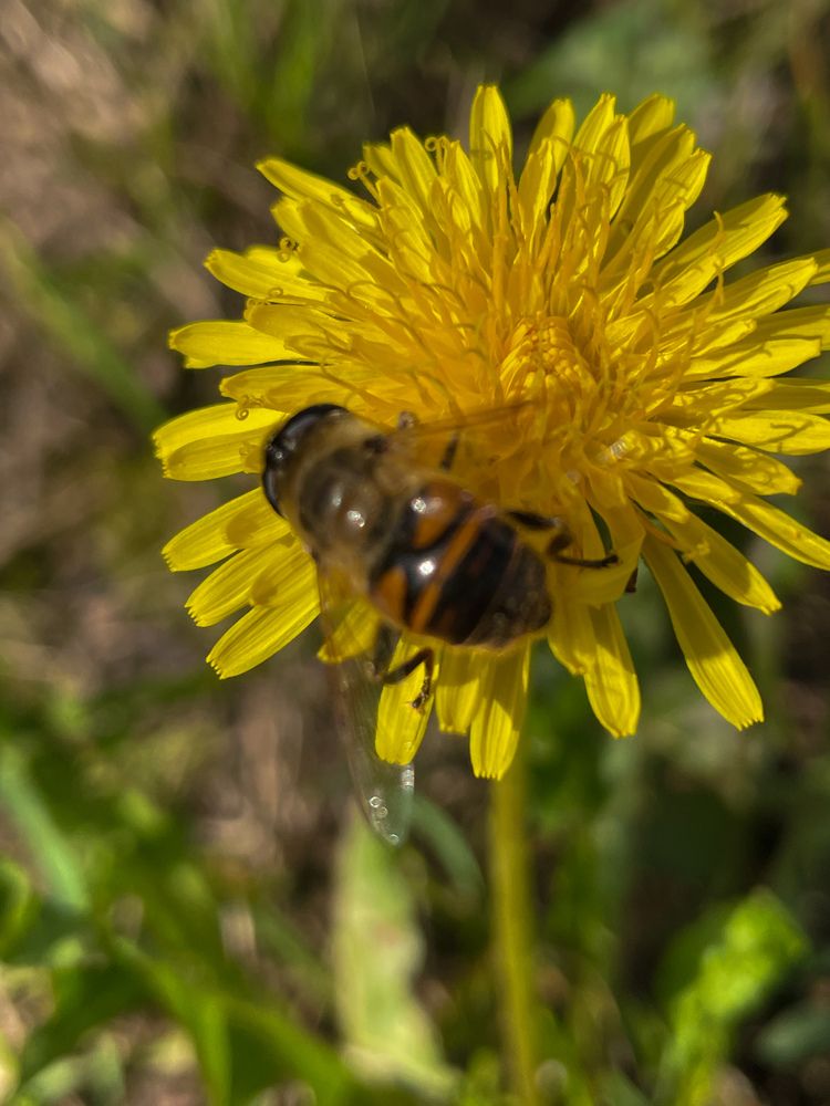 Photograph by Светлана Савина