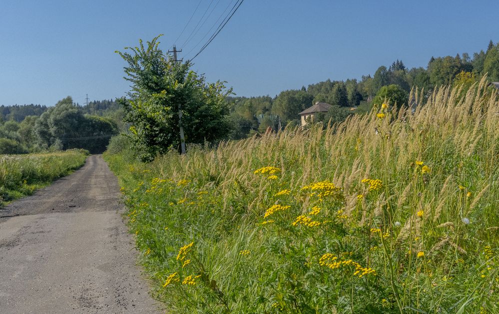 Photograph by Владимир Езеров