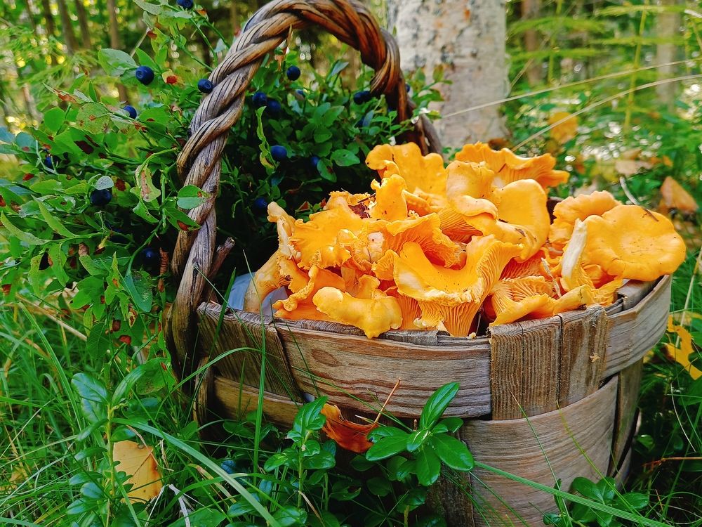 Photograph by Татьяна Бешенкина