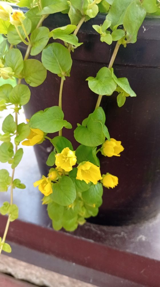 Фотография автора Костя