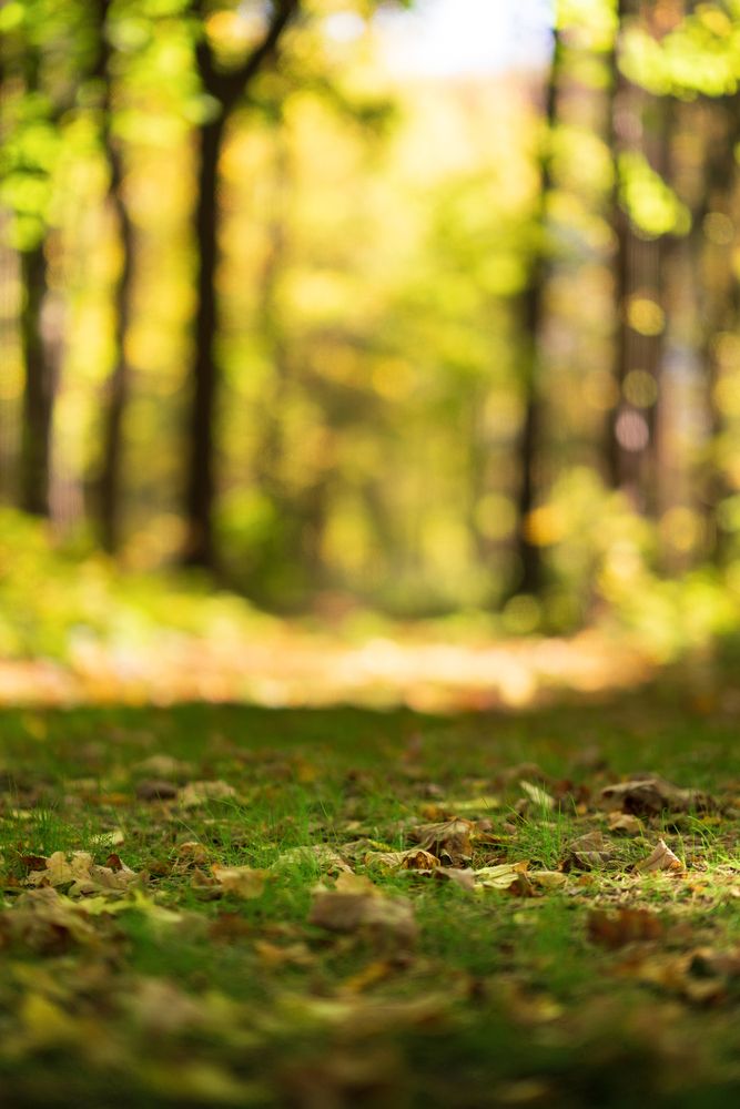 Photograph by Nikolay Serfoord