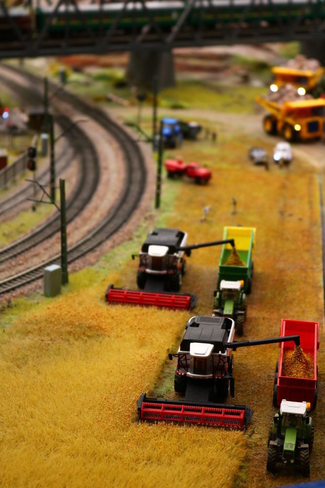 Photograph by Светлана Шуткова