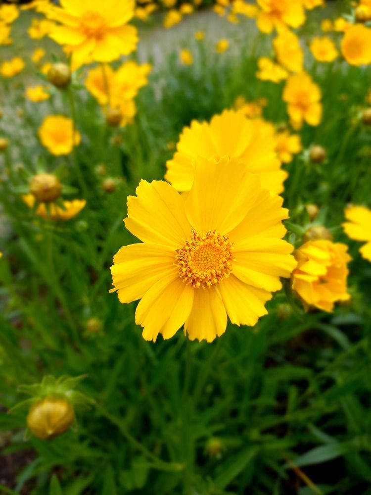 Photograph by Людмила Сотникова