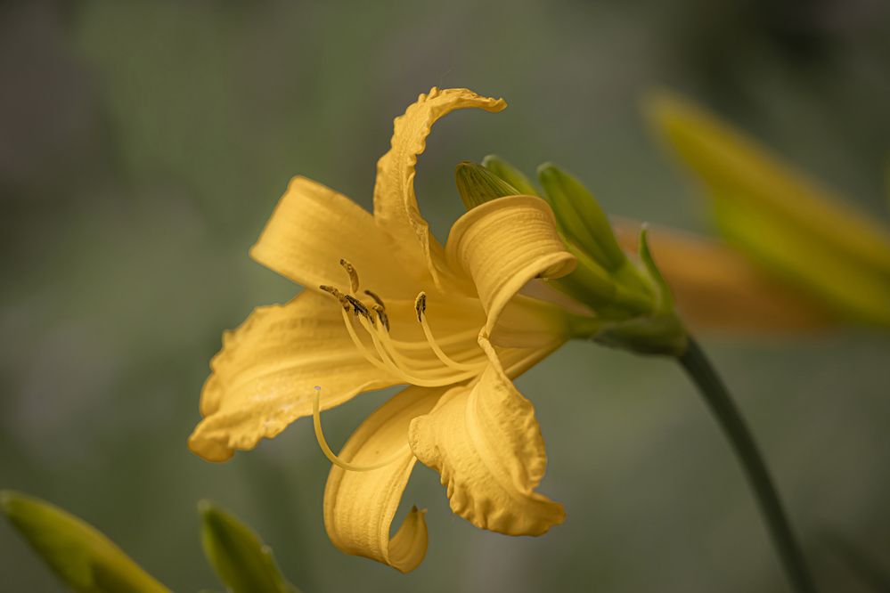 Photograph by Бурикова Екатерина