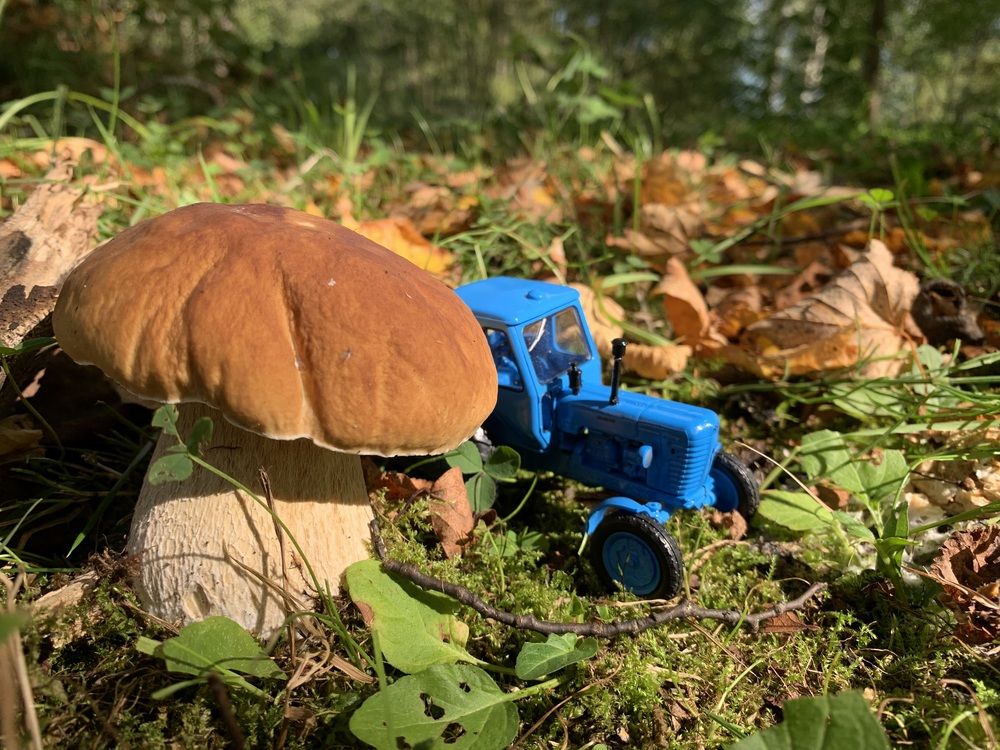 Photograph by Игорь Ребров