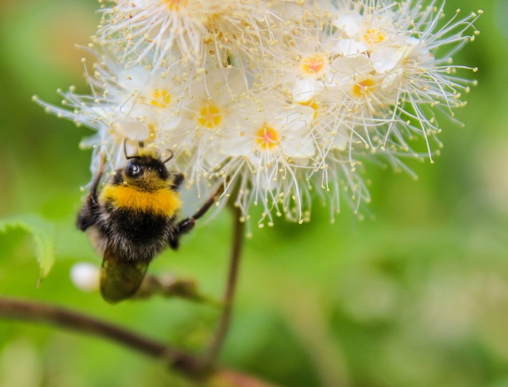 Photograph by Ольга Ситникова