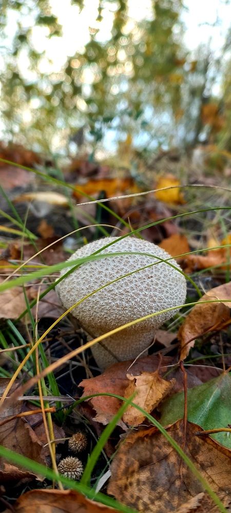 Photograph by Светлана Крон