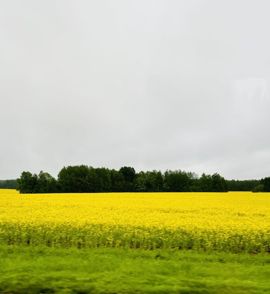 Photograph by Лейсан