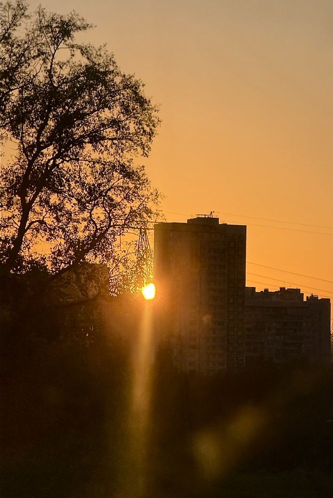 Photograph by Елена Чулюнина