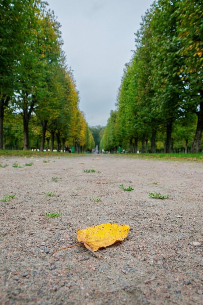 Photograph by Alex P