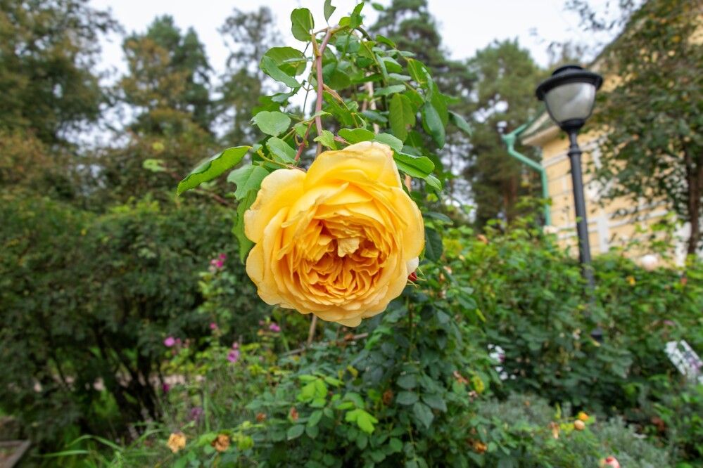 Photograph by Alex P