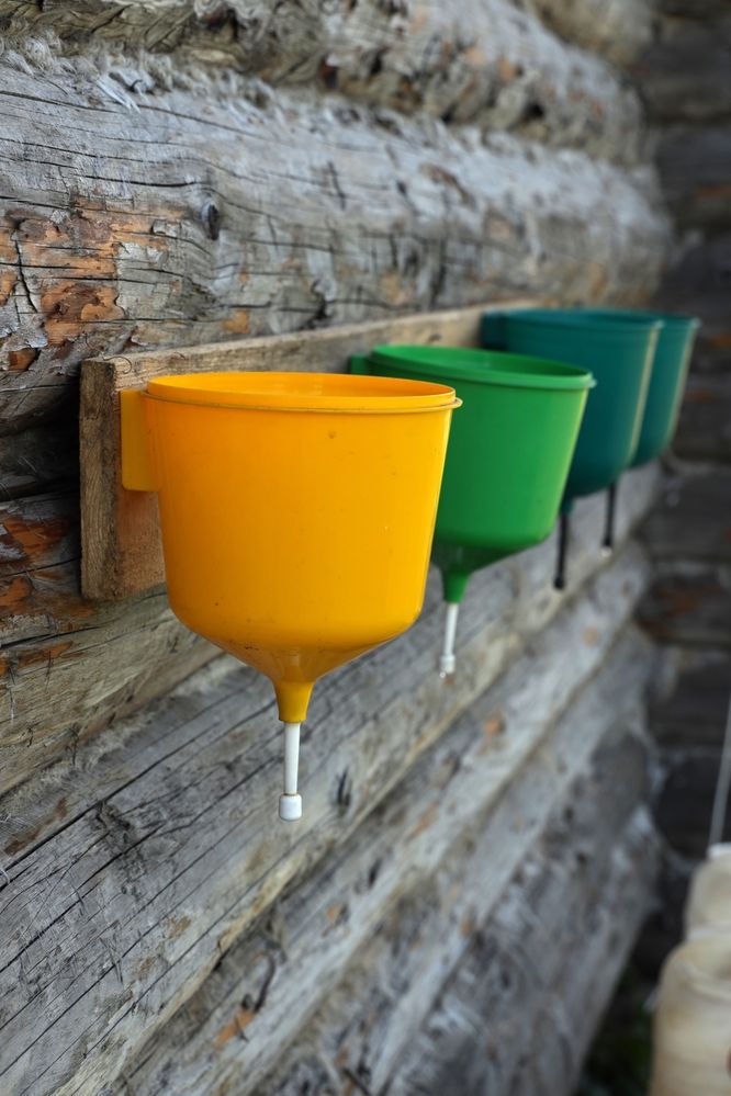 Умывальников  отряд