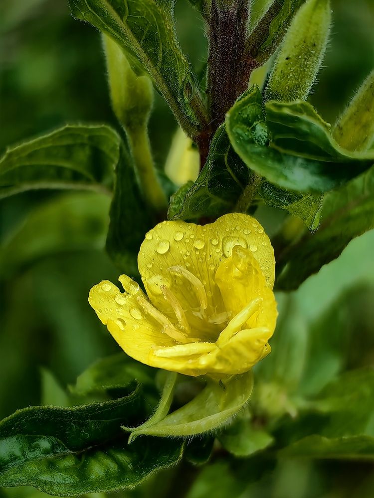 Photograph by Елена Акимова