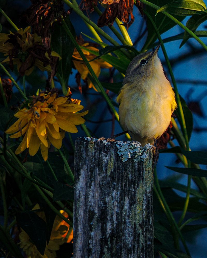 Photograph by Наталья Балабанова