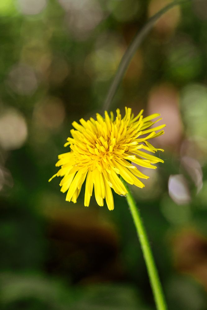 Photograph by Дана Трубиньш