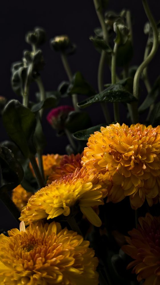 Photograph by Iryna Usanova