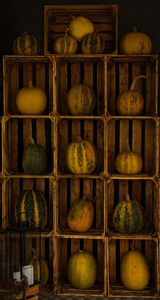 Photograph by Iryna Usanova