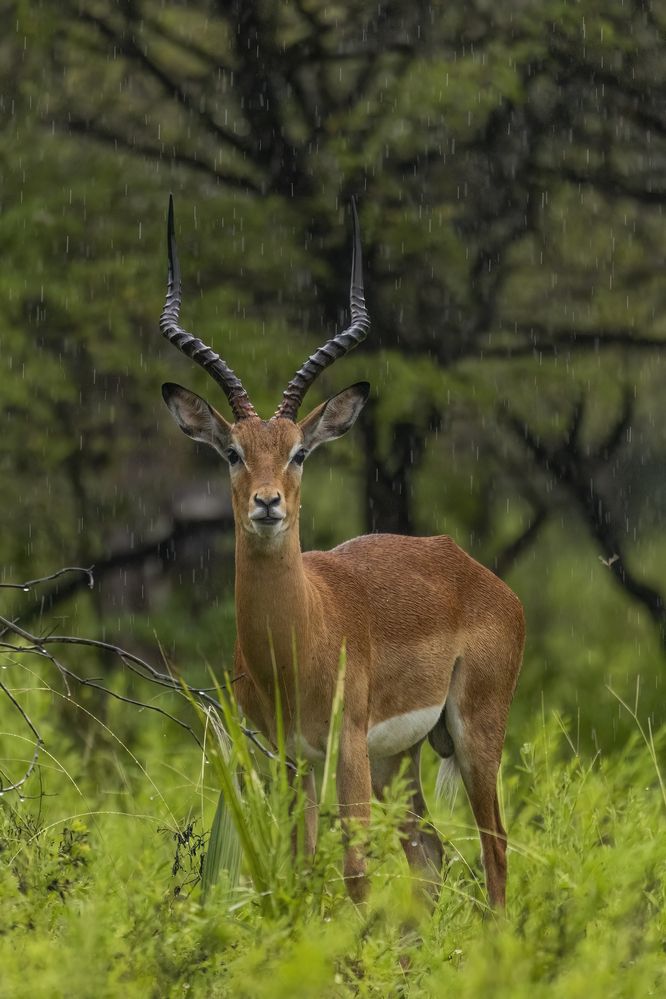 Фотография автора Варвара Дронова