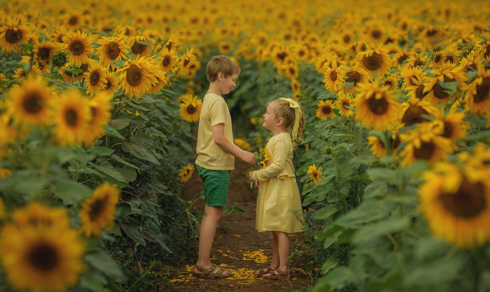 Photograph by Ella Pacanowska