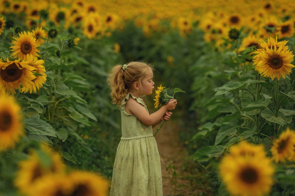 Photograph by Ella Pacanowska