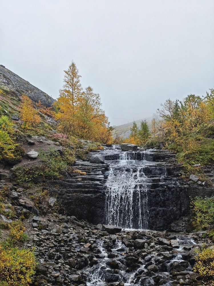 Photograph by Lev Kaufman