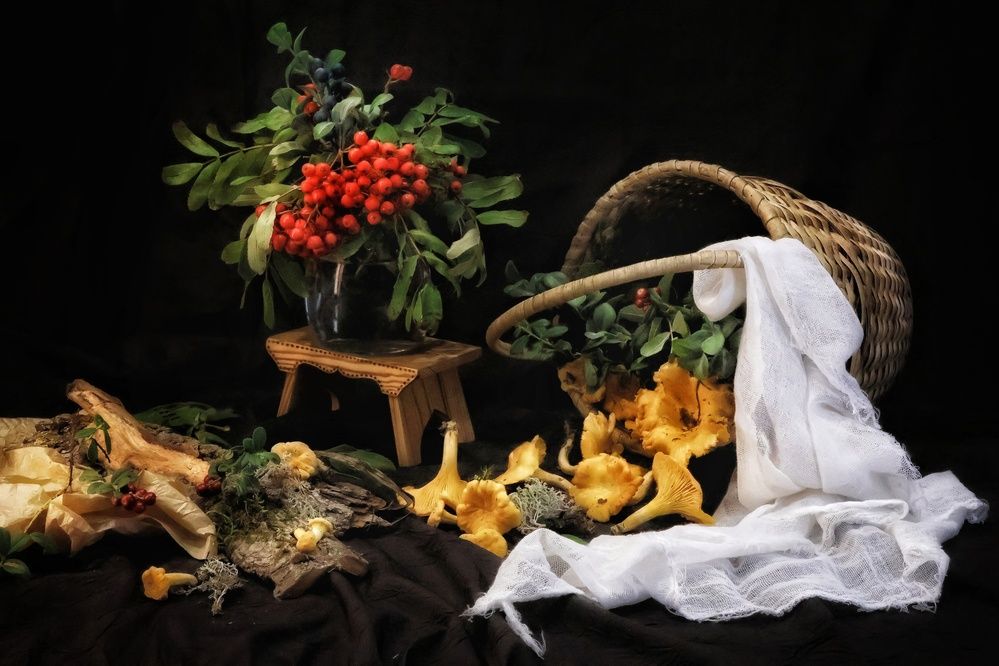 Photograph by Olga Asson