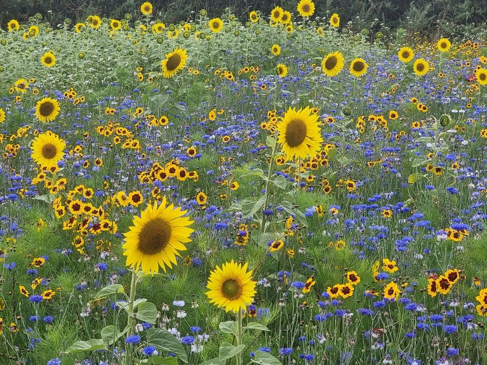 Photograph by Васька Свищ