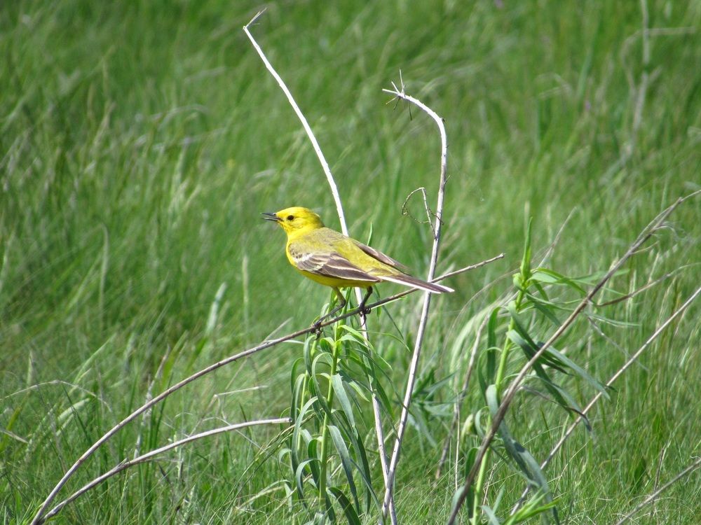 Photograph by Денис Веску