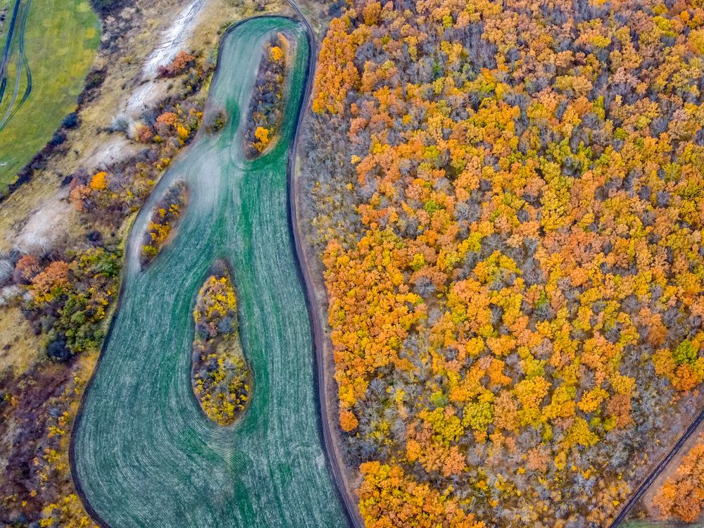 Photograph by Сергей Конюшенко