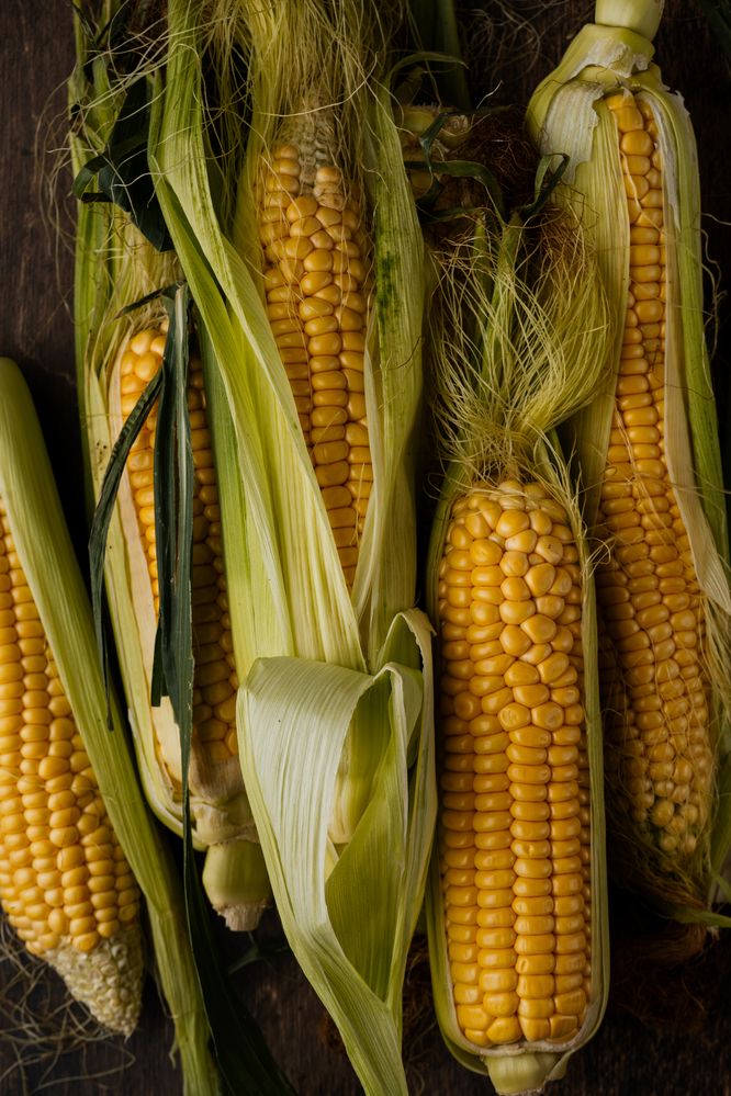 Фотография автора Zhenia Vladimirova