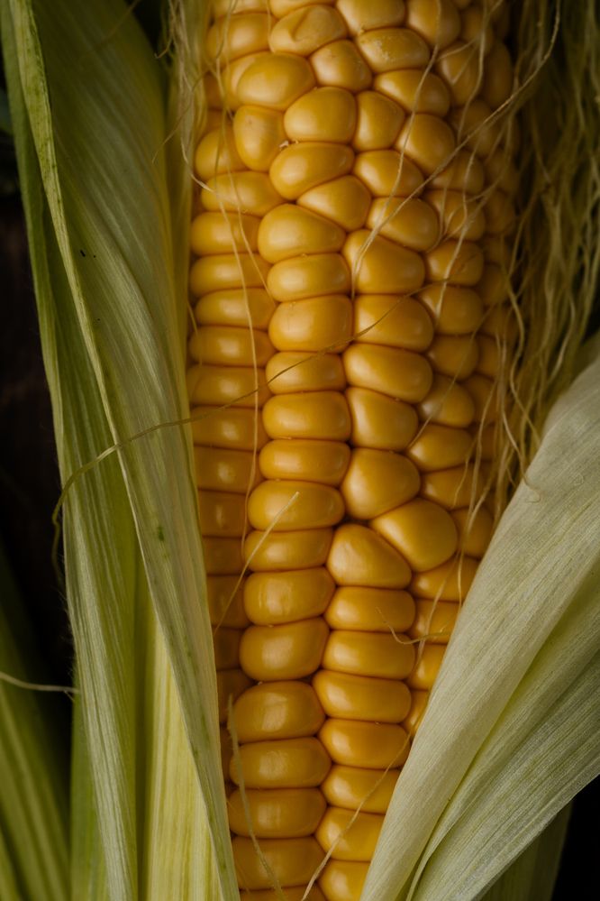 Фотография автора Zhenia Vladimirova