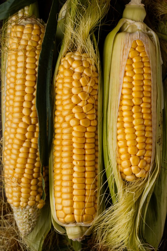 Фотография автора Zhenia Vladimirova