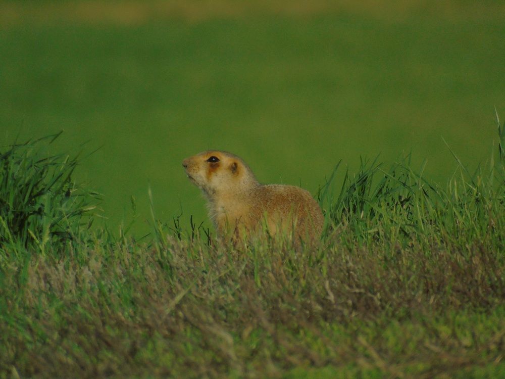 Photograph by Денис Веску