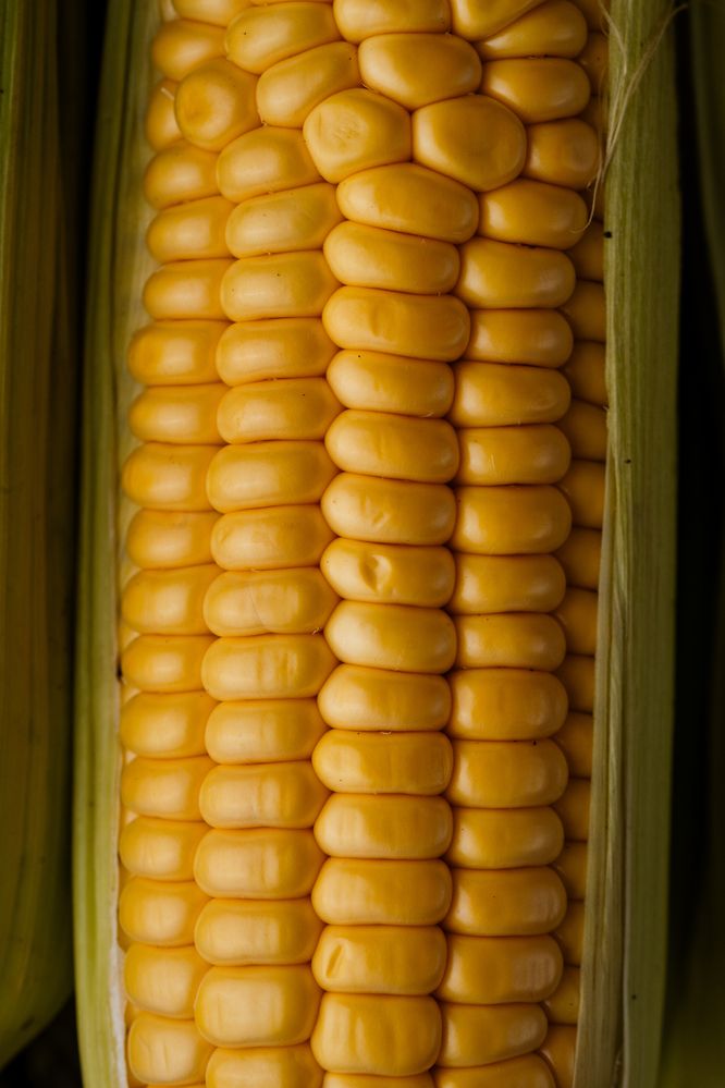 Фотография автора Zhenia Vladimirova