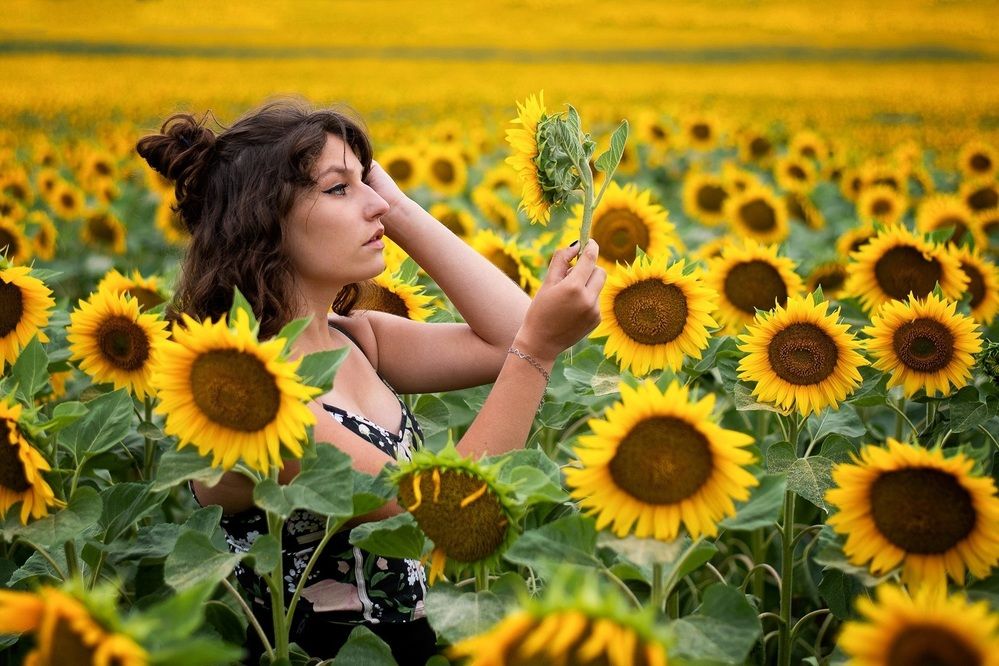 The Sunflower Mirror