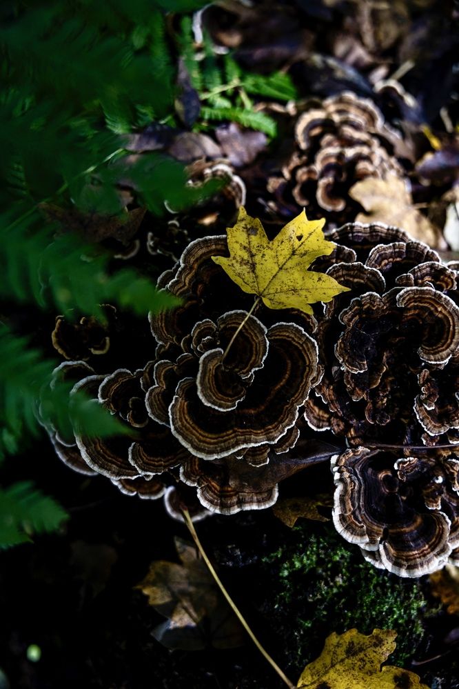 Photograph by Александр Арасланов