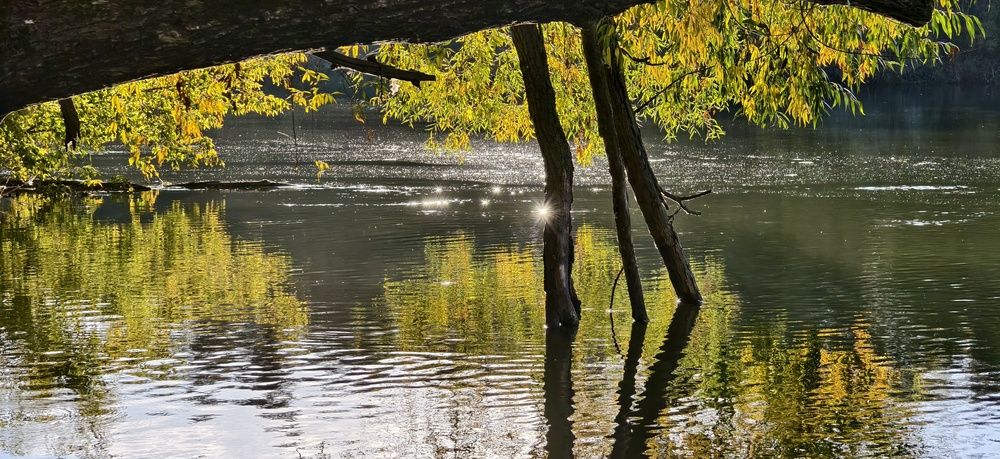 Photograph by Светлана Кравченко