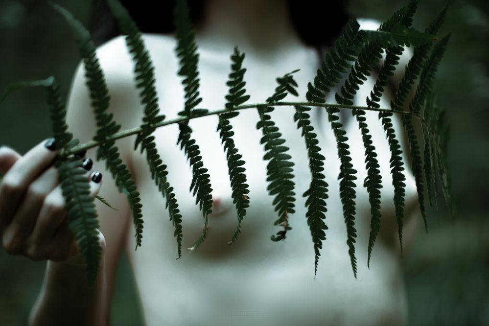 Photograph by Дмитрий Куликов