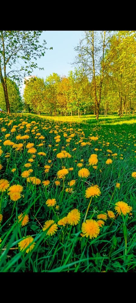 Photograph by Катерина Магало
