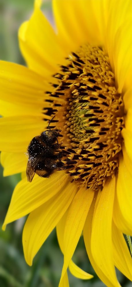 Photograph by Светлана Кравченко