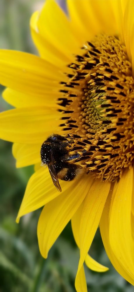 Photograph by Светлана Кравченко