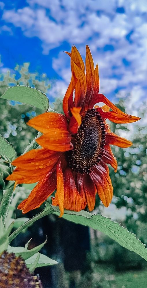 Photograph by Катерина Магало