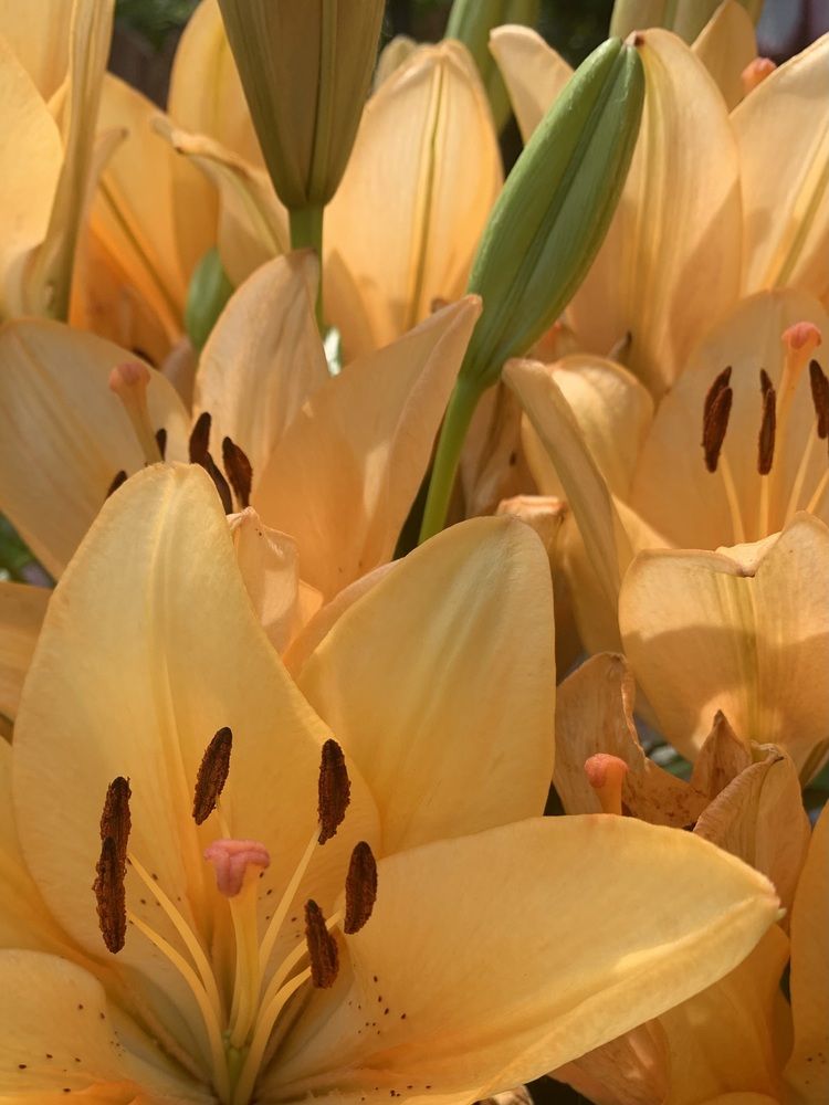 Photograph by Игорь Ребров