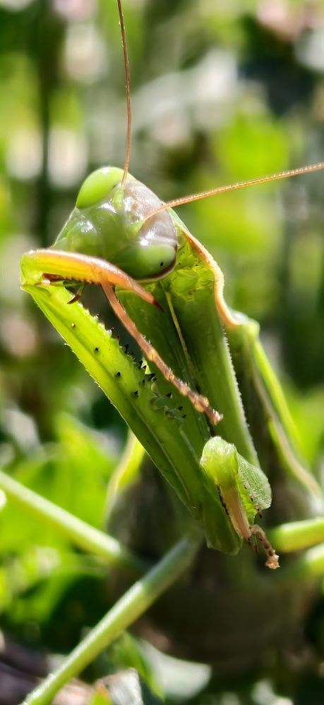 Photograph by Светлана Кравченко