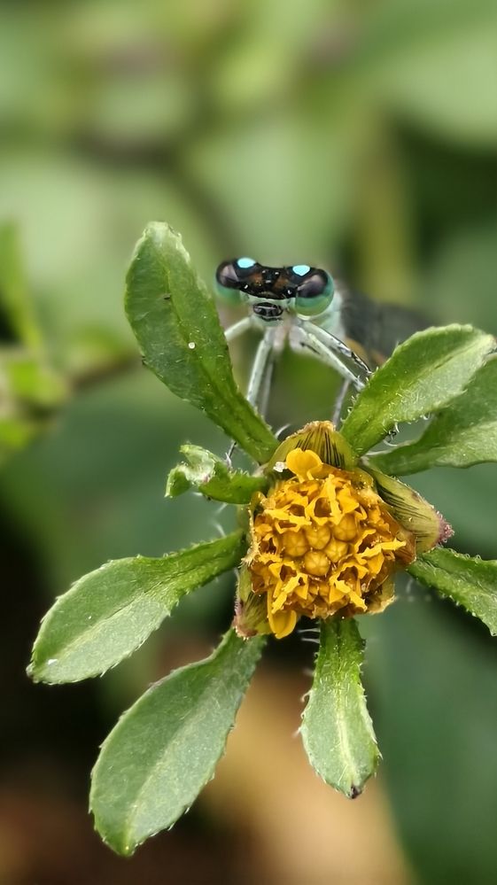 Photograph by Светлана Кравченко
