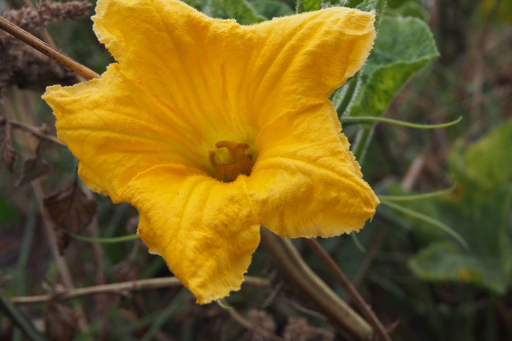 Photograph by Дмитрий Матвеев